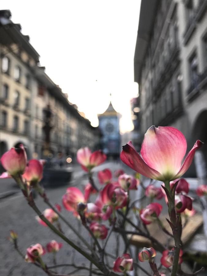 Historical, Bright & Beautiful In Old City - 3Rd Floor Bern Ngoại thất bức ảnh